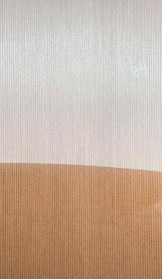 Propperly Engineered Veneer 03