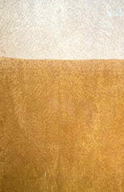 Propperly Engineered Veneer 27